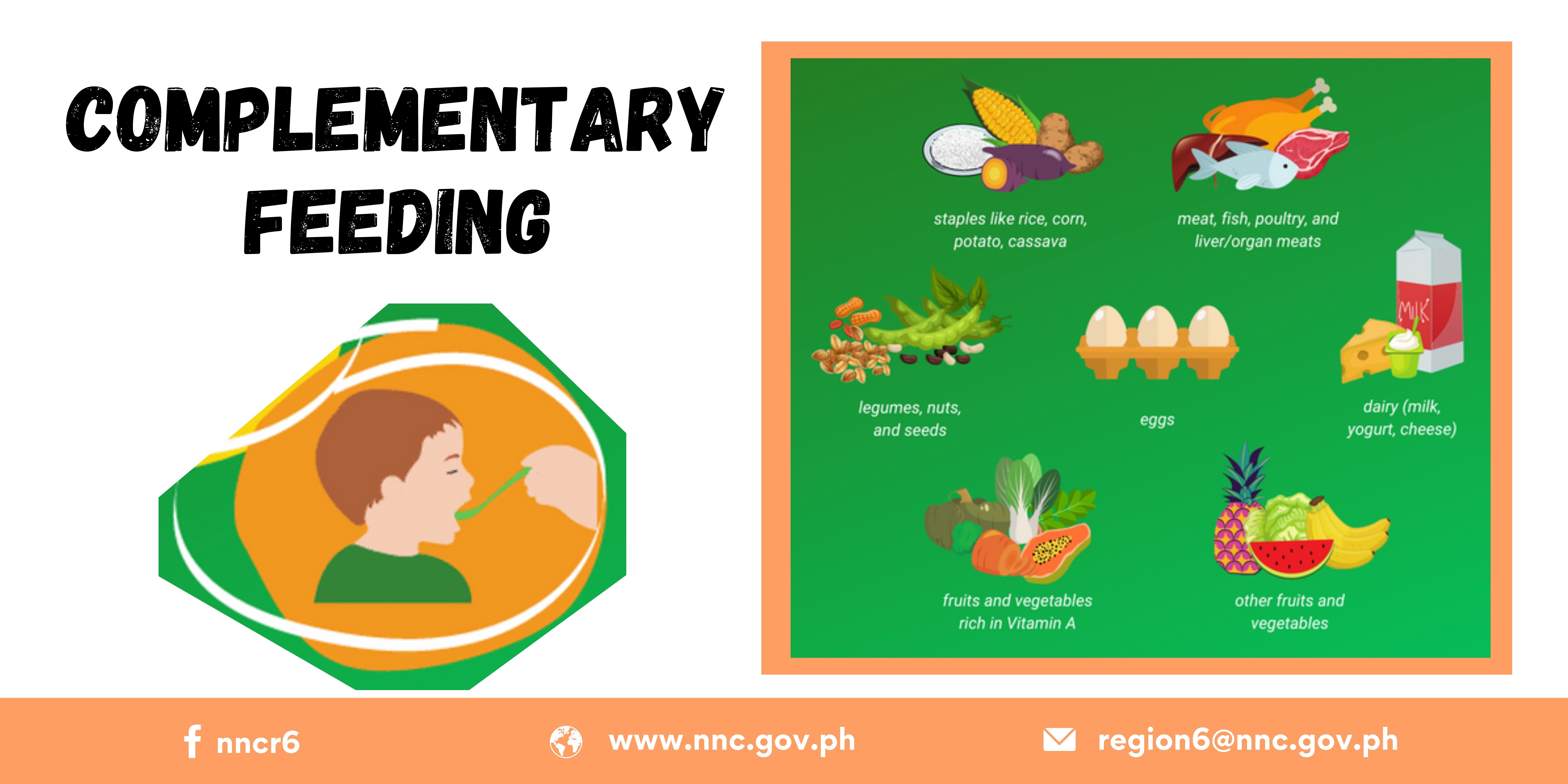 Complementary Feeding