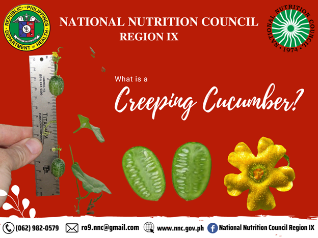 Creeping Cucumber