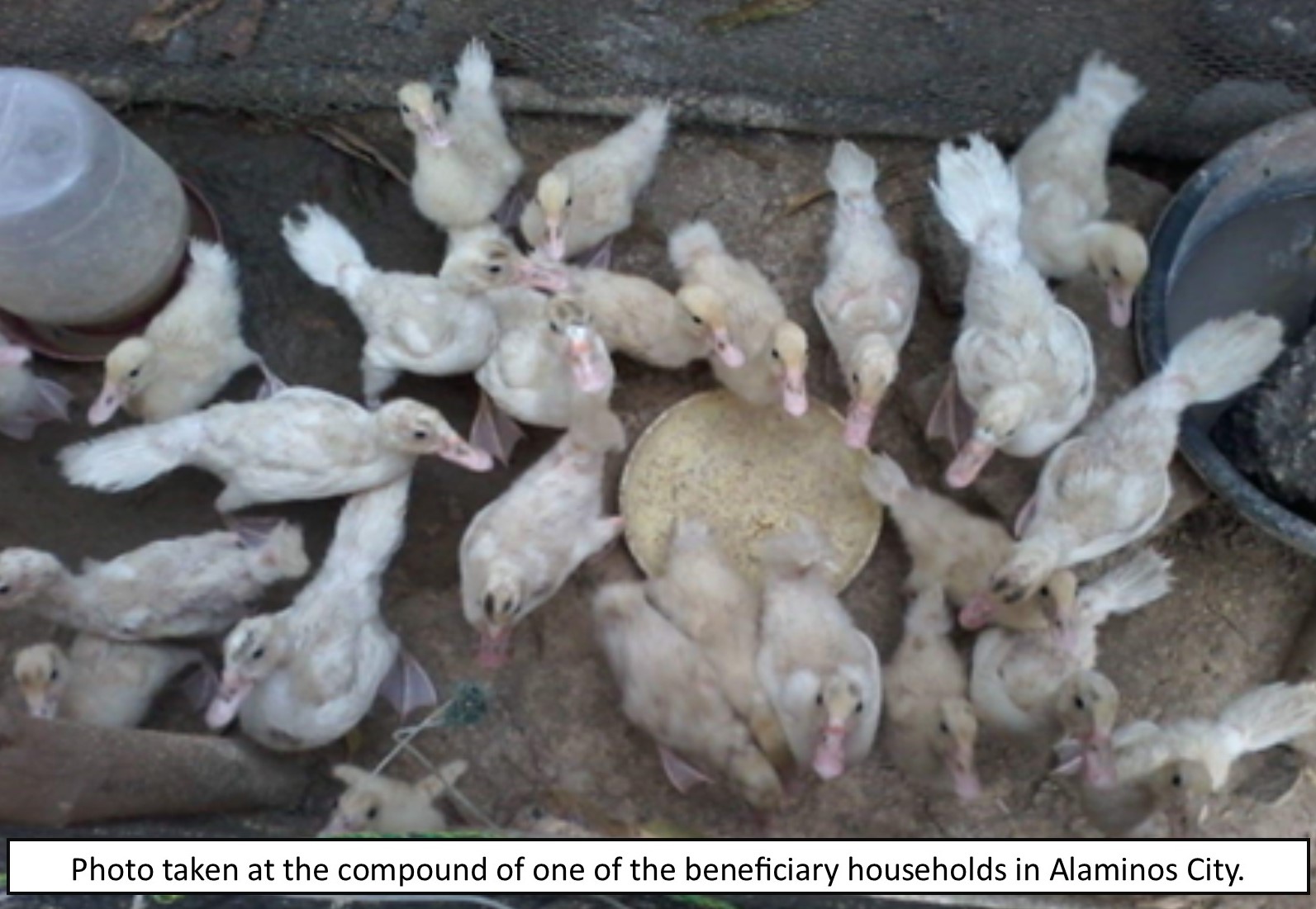 Alaminos City -- City Administrator Dr. Emielou Gellado, together with the city nutrition committee (CNC), financial committee and BNS Federation Officers of Alaminos City, Pangasinan received the cheque amounting to Php 2, 838, 118.00 for activities on Early Childhood Care and Development in the First 1000 Days (ECCD-F1K) Program. The turnover ceremony was held at Don Leopoldo Sison Convention Center last April 28, 2017.