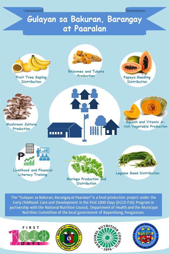 Bayambang, Pangasinan - In the active leadership of Mayor Cezar T. Quiambao, the LGU of Bayambang is now ready for the first stage of implementation through the roll out of trainings on food production project of the Early Childhood Care and Development in the First 1000 Days (ECCD-F1K) Program. Mr. Fernando Quijalvo, the municipal agricultural technician presented the approved food production plan for Calendar Year 2017 during the special meeting of the municipal nutrition and financial committee last April 20, 2017.
