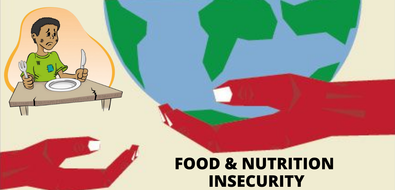 Food Nutrition Insecurity