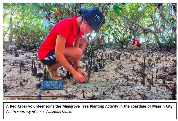 Maasin City mangrove