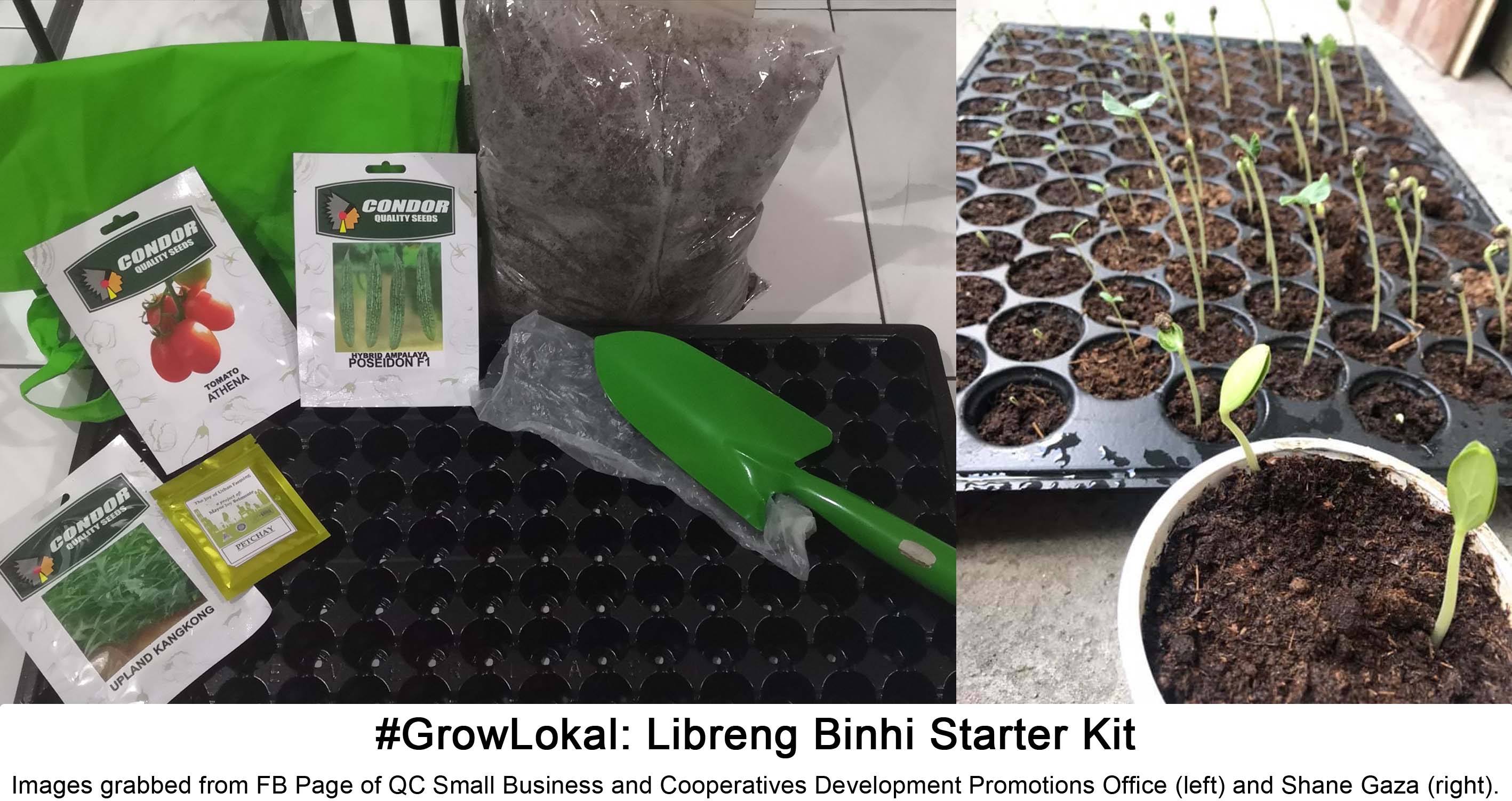 #GrowLokal: Libreng Binhi Starter Kit. Images grabbed from FB Page of QC Small Business and Cooperatives Development Promotions Office (left) and Shane Gaza (right)
