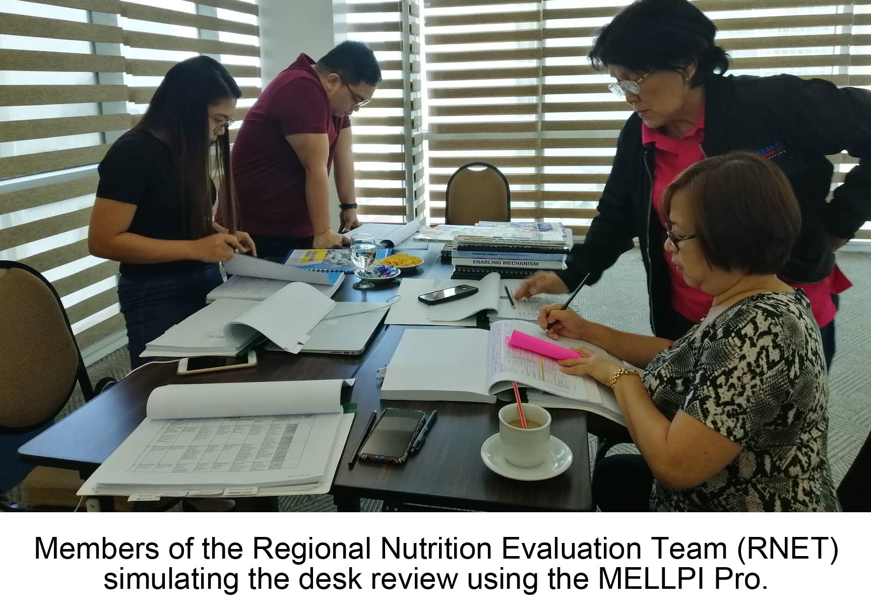 Members of the Regional Nutrition Evaluation Team (RNET) simulating the desk review using the MELLPI Pro