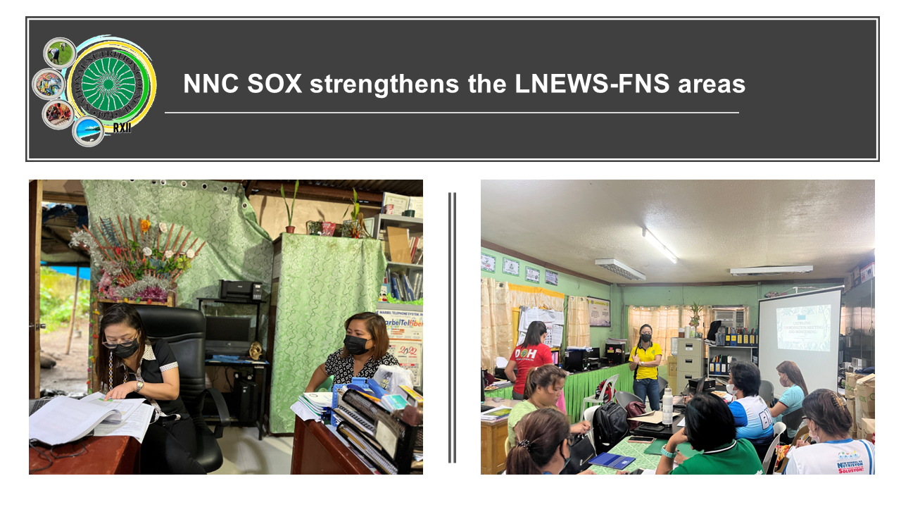 NNC SOX strengthens the LNEWS FNS areas