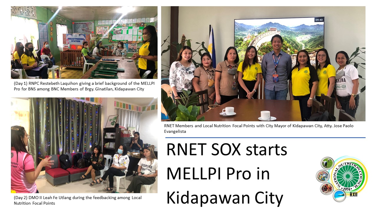 RNET SOX MELLPI PRO 2022