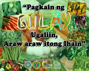 r02 Cagayan Valley Fires up for the NNC R02 Regional Recipe Development Contest this Summer 2012