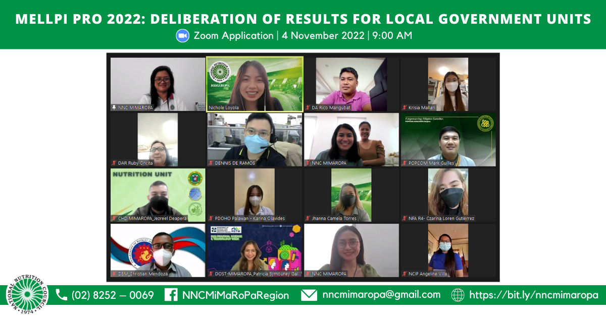 11042022 MIMAROPA RNET finalizes MELLPI Pro results for LGUs