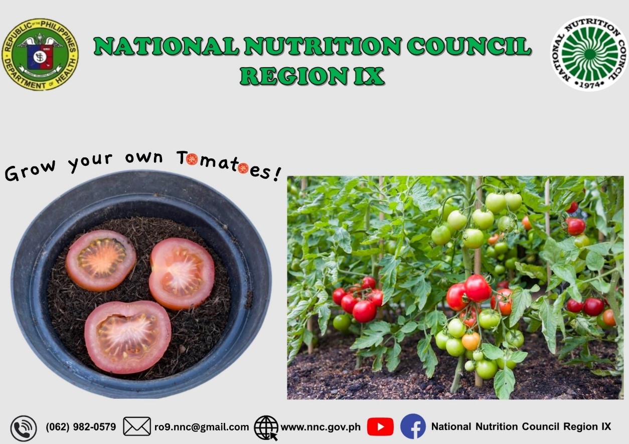 Tomato
