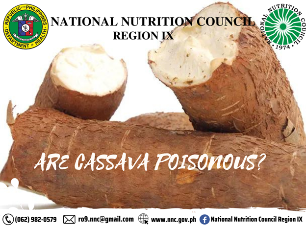 Toxic Cassava