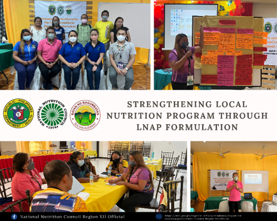 Scaling-Up Regional Technical Assistance through Localized Nutrition Planning Workshop