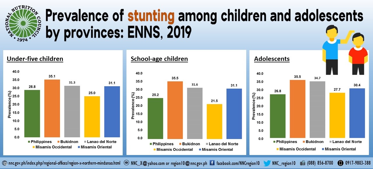 final Infographics 2019 ENNS