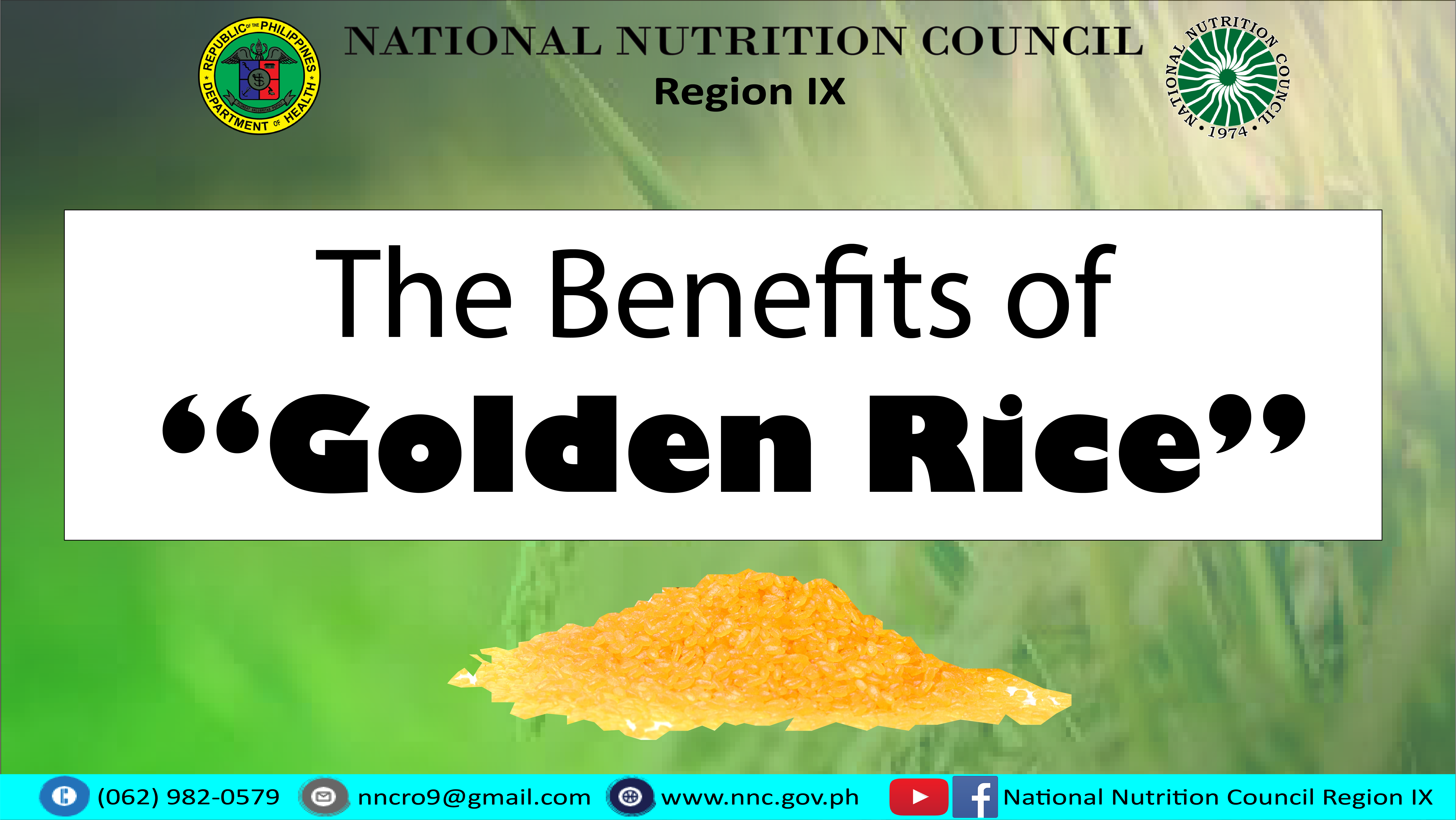 golden rice