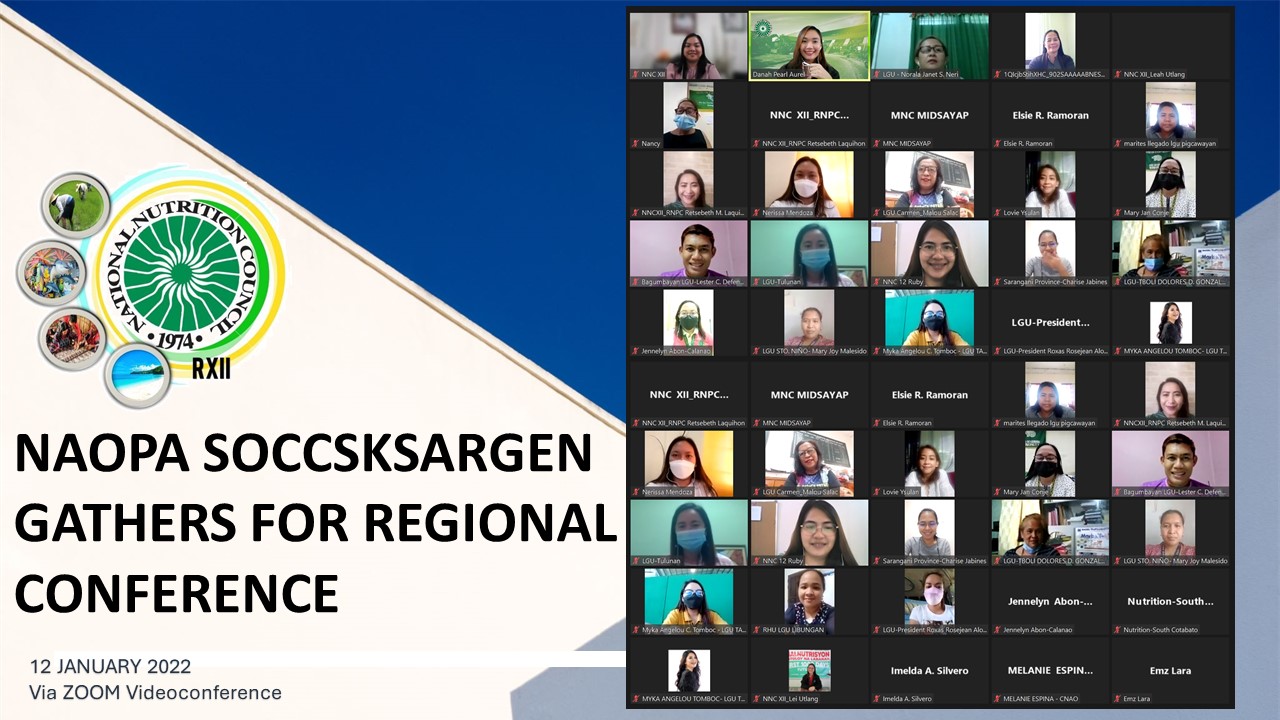 naopa layout article