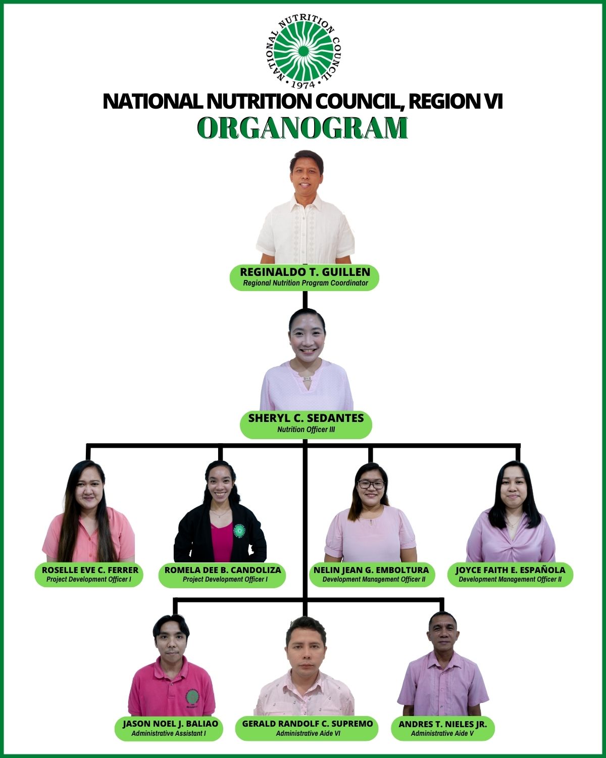 revised NATIONAL NUTRITION COUNCIL REGION VI ORGANOGRAM