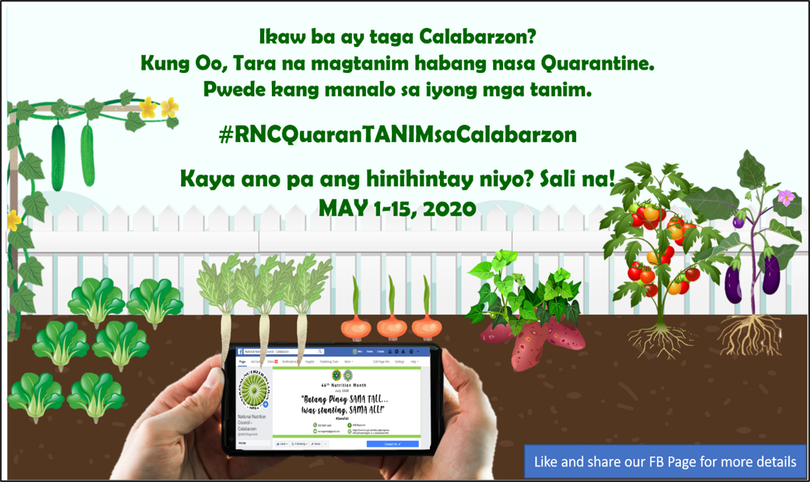 rnc quarantanim article