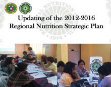 Regional Nutrition and Technical Working Group during RNSAP Updates