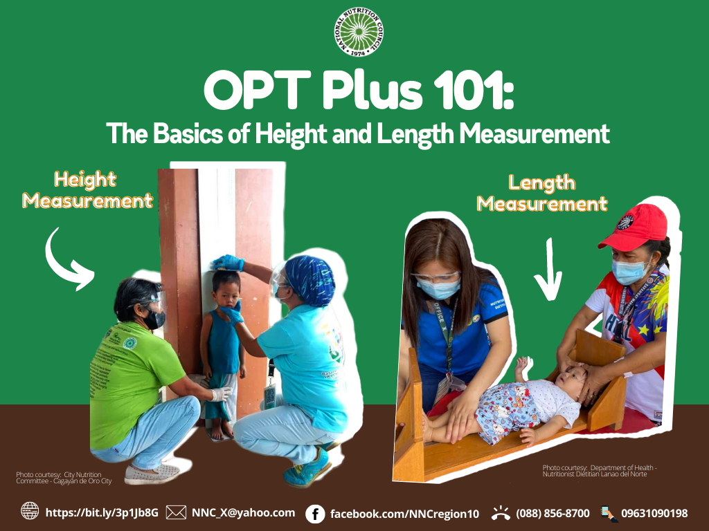 final Infographics on OPT height and length
