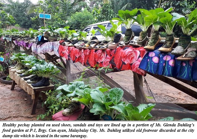 Garden entry of Malaybalay City to the regional Search for Best Gulayan sa Tugkaran