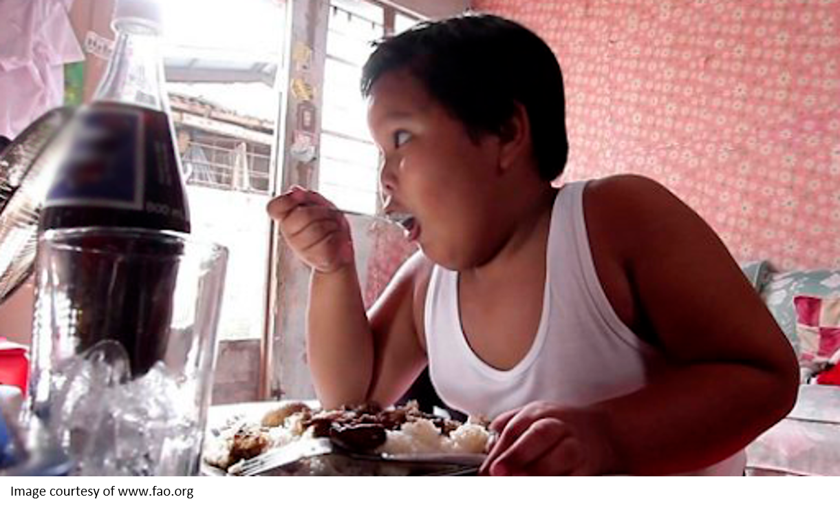 Childhood Obesity FAO