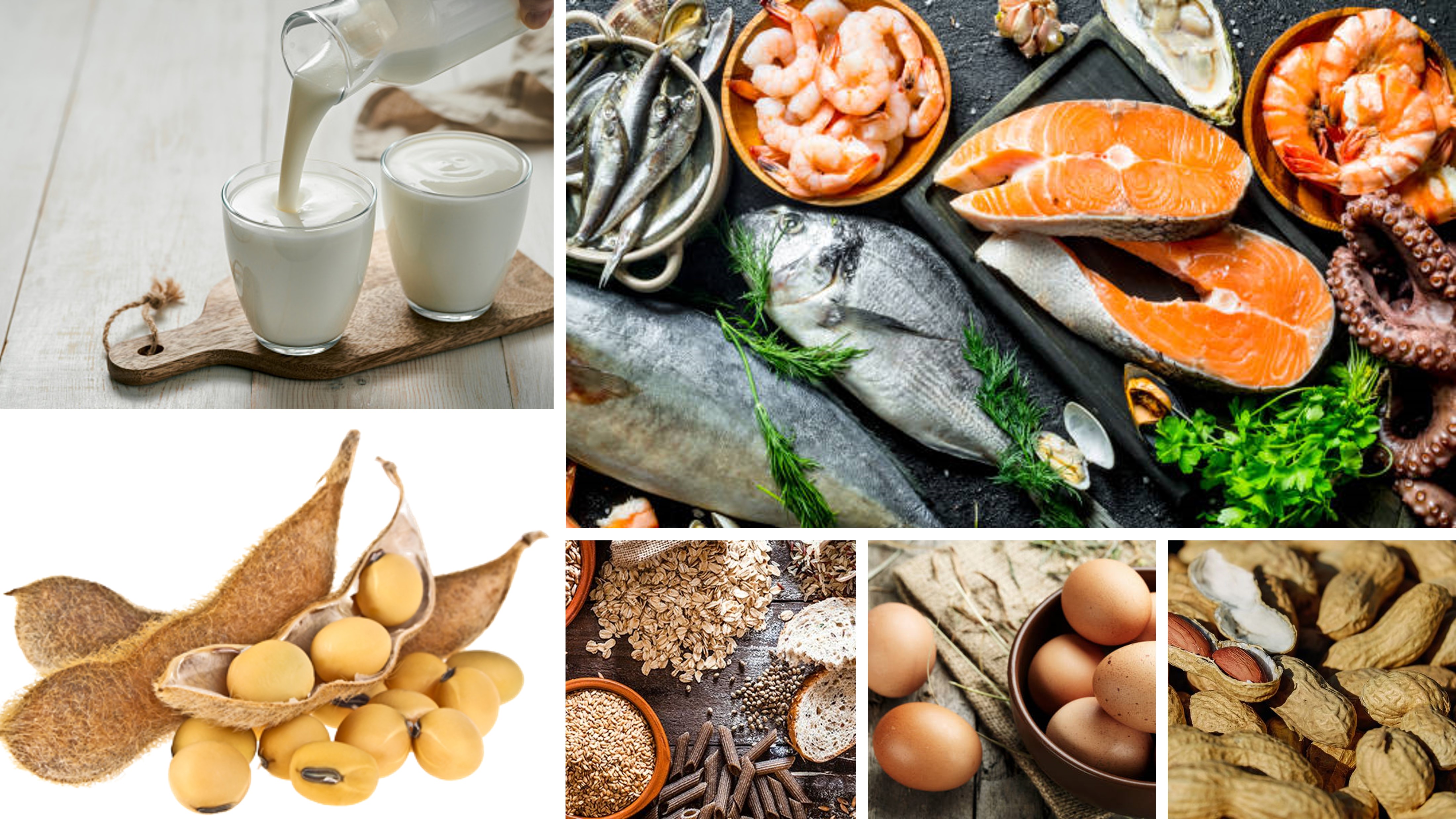 Image Allergy vs Intolerance