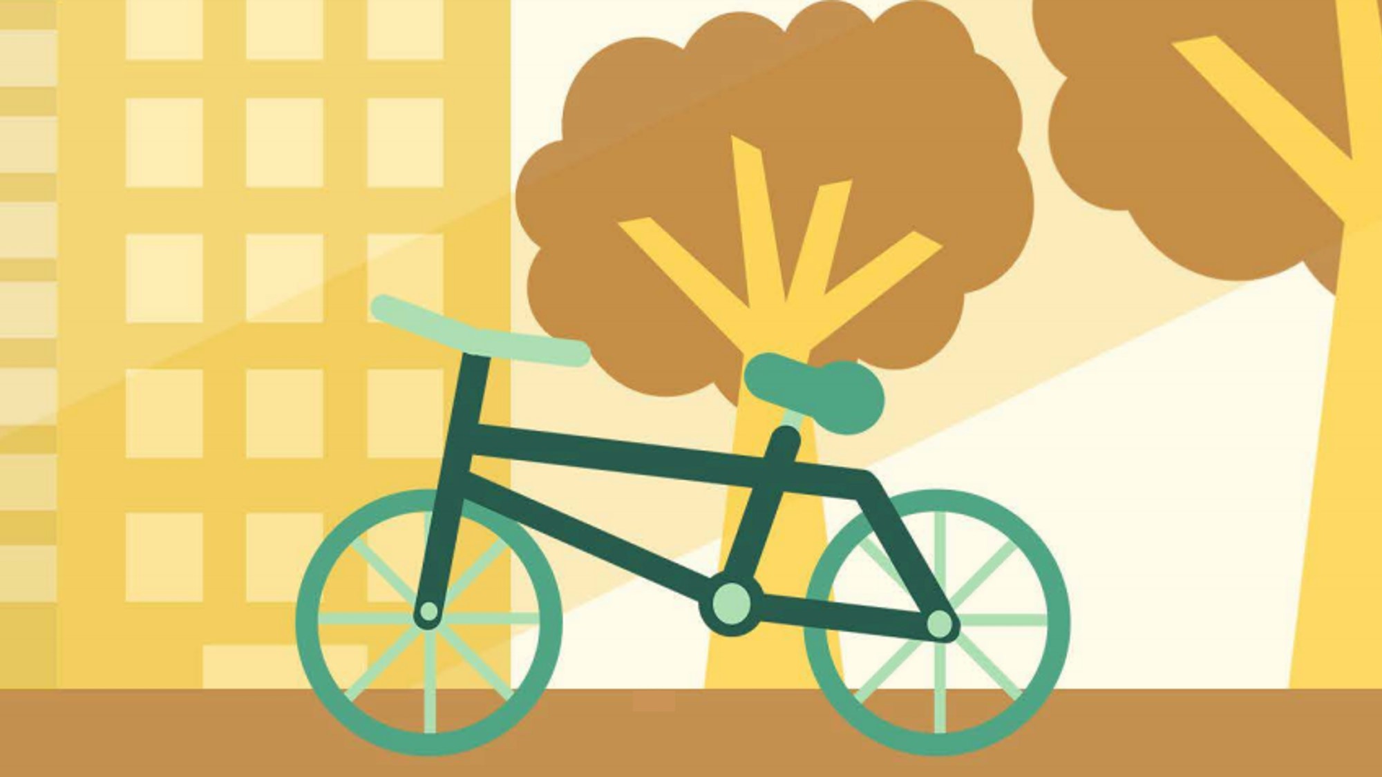 Image guidelines active transport