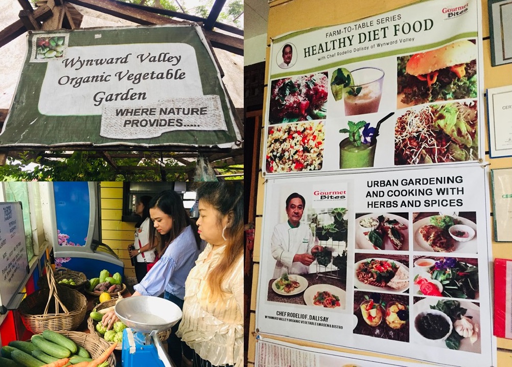 Lakbay Aral Wynward Dec 2019 PIC