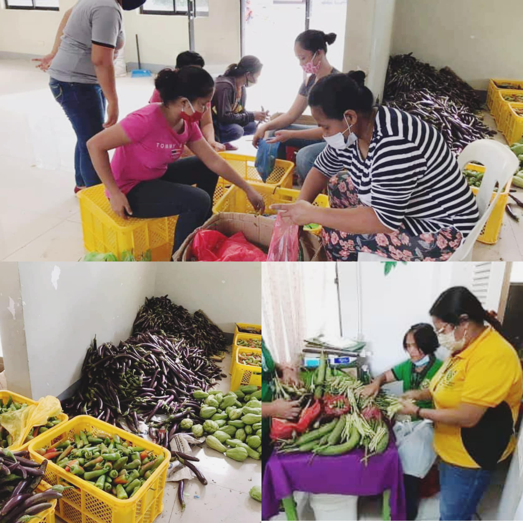 Nutritious Food Packs Amidst COVID 19