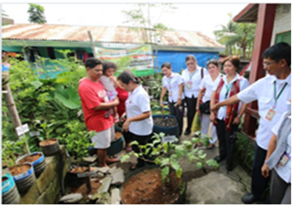 valenzuela city nutrition committee