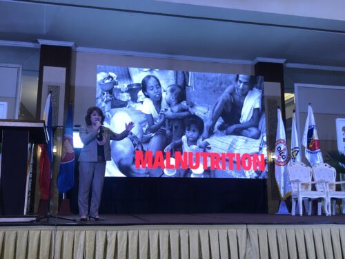 NNC-Asec. Dayanghirang speaks at the NEO-Orientation Course for the Vice- Governors of the Philippines